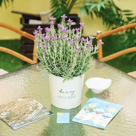Hortensia シベニク エクステリア 写真